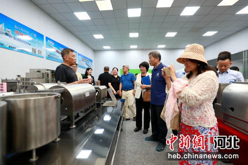 第二届国际农产品贸易和投资论坛在河北邢台开幕，聚焦投资咨询服务新趋势